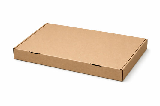 Pinsakarton 23x38x5cm Braun ohne Druck