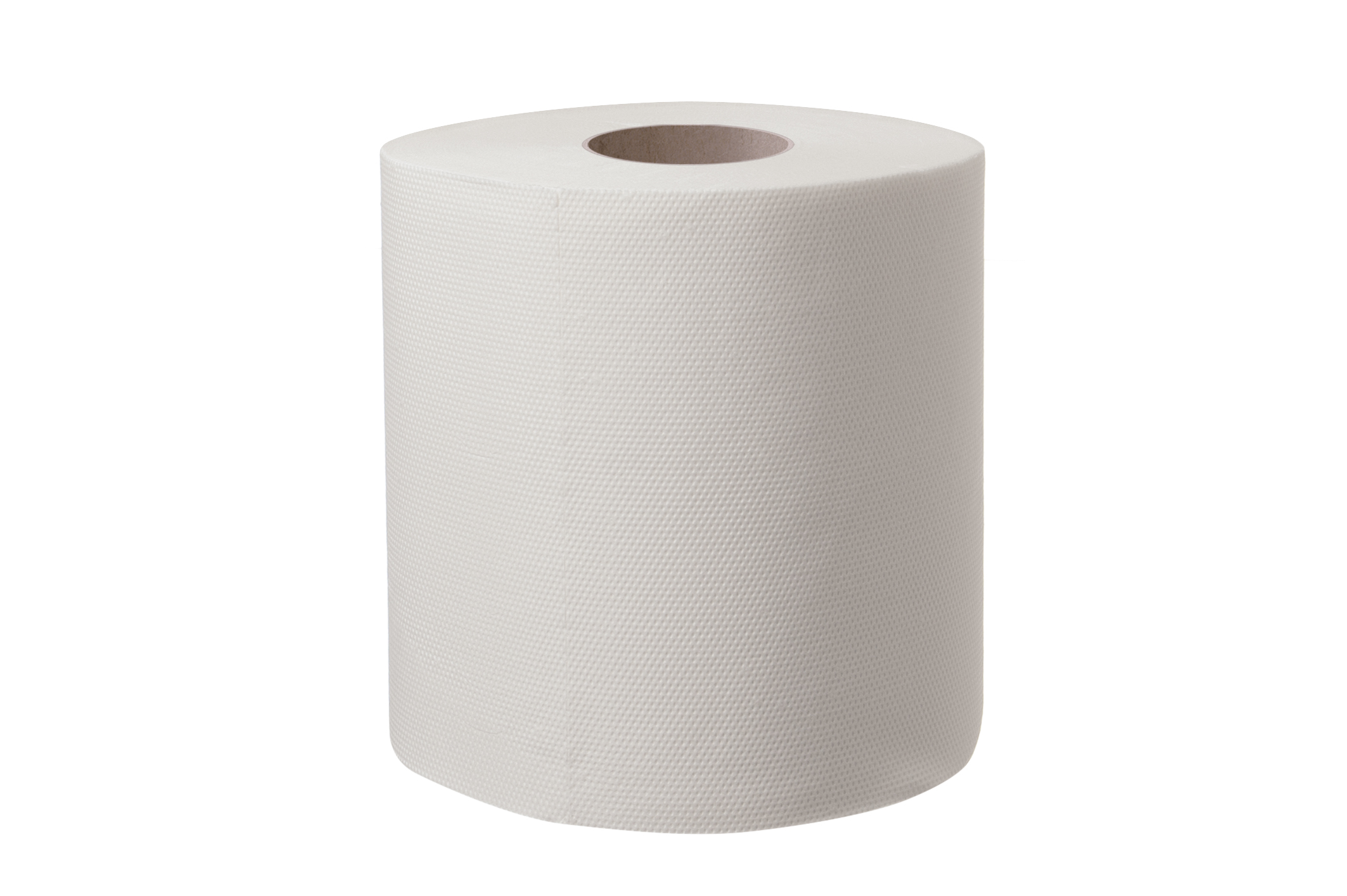 PUTZROLLE HANDTUCHROLLE WEISS